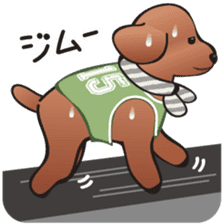 Cute! Lovely! Toy Poodle! sticker #5589153