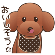 Cute! Lovely! Toy Poodle! sticker #5589155