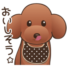 Cute! Lovely! Toy Poodle! sticker #5589155