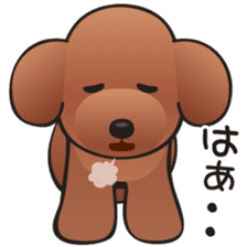 Cute! Lovely! Toy Poodle! sticker #5589156