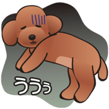 Cute! Lovely! Toy Poodle! sticker #5589157