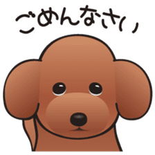 Cute! Lovely! Toy Poodle! sticker #5589159