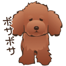 Cute! Lovely! Toy Poodle! sticker #5589160