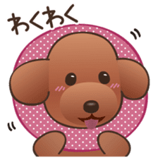 Cute! Lovely! Toy Poodle! sticker #5589162