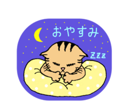 A brown tabby cat,Vicky sticker #5589647