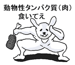 He is Crazy rabbit sticker #5591160