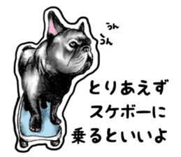 miracle french bulldog sticker!! sticker #5591613