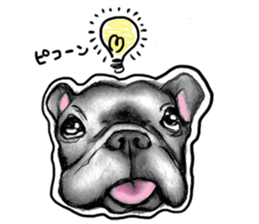 miracle french bulldog sticker!! sticker #5591616