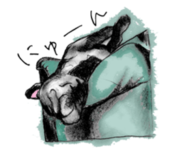 miracle french bulldog sticker!! sticker #5591618