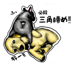 miracle french bulldog sticker!! sticker #5591623
