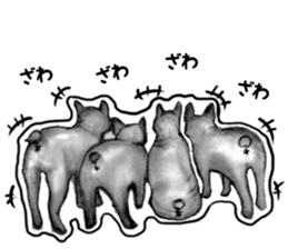 miracle french bulldog sticker!! sticker #5591624