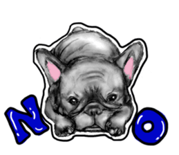 miracle french bulldog sticker!! sticker #5591628