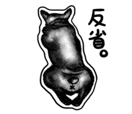 miracle french bulldog sticker!! sticker #5591630