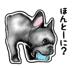 miracle french bulldog sticker!! sticker #5591631