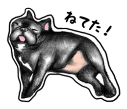 miracle french bulldog sticker!! sticker #5591635