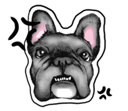 miracle french bulldog sticker!! sticker #5591641