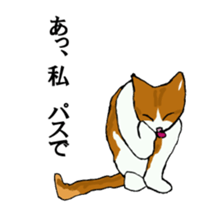 irony pose cat, Jill sticker #5593084