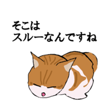 irony pose cat, Jill sticker #5593087