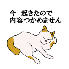 irony pose cat, Jill sticker #5593089