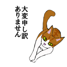 irony pose cat, Jill sticker #5593091