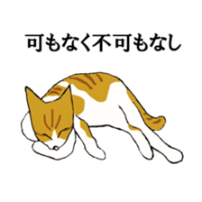 irony pose cat, Jill sticker #5593093