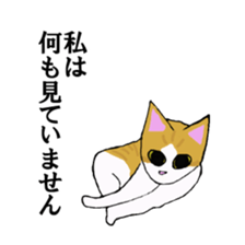 irony pose cat, Jill sticker #5593094