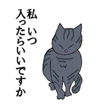 irony pose cat, Jill sticker #5593095