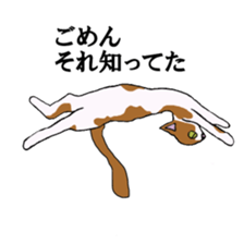 irony pose cat, Jill sticker #5593096