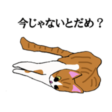 irony pose cat, Jill sticker #5593098