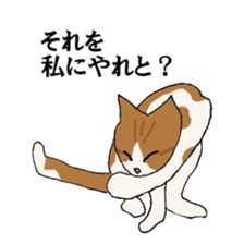 irony pose cat, Jill sticker #5593099