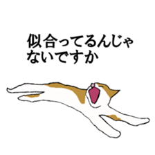 irony pose cat, Jill sticker #5593101