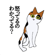 irony pose cat, Jill sticker #5593103