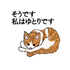 irony pose cat, Jill sticker #5593104