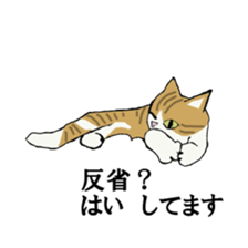 irony pose cat, Jill sticker #5593105