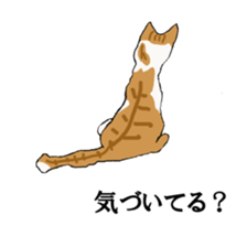 irony pose cat, Jill sticker #5593106