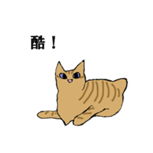 irony pose cat, Jill sticker #5593108