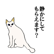 irony pose cat, Jill sticker #5593109