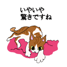 irony pose cat, Jill sticker #5593111