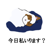 irony pose cat, Jill sticker #5593113