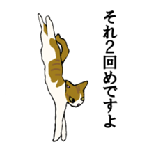 irony pose cat, Jill sticker #5593114