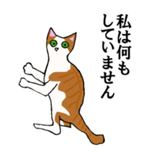 irony pose cat, Jill sticker #5593116