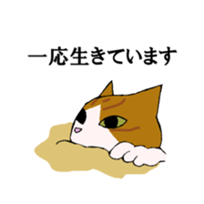 irony pose cat, Jill sticker #5593117