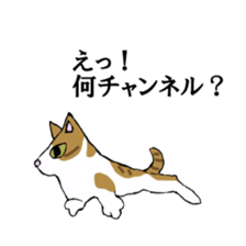 irony pose cat, Jill sticker #5593118