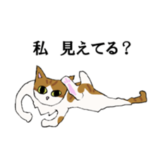 irony pose cat, Jill sticker #5593119