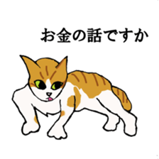 irony pose cat, Jill sticker #5593121