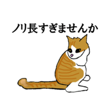 irony pose cat, Jill sticker #5593123