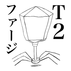 T2Phage