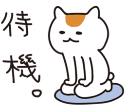 Idol geek cat~Idol groupie life~ sticker #5596951