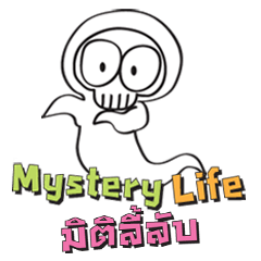 Mystery Life (Miti Lee Lub)