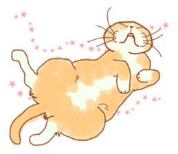 Every day I love cats sticker #5602246